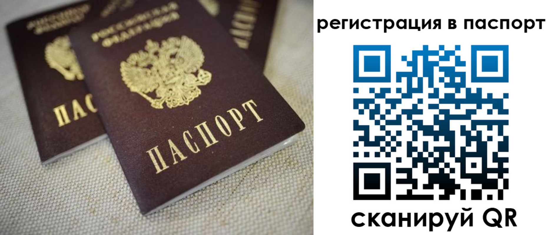 прописка гарантия в Осинниках